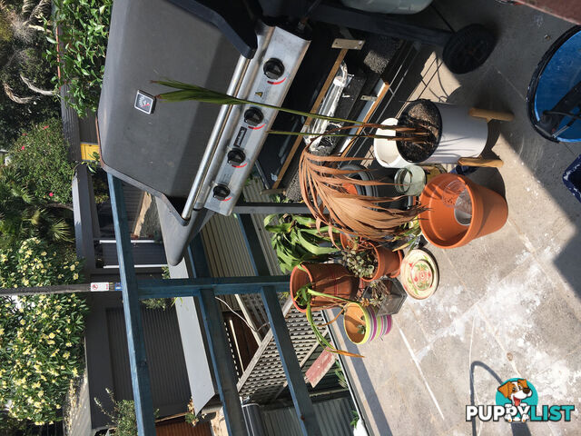 3 86 Womerah Avenue Darlinghurst NSW 2010