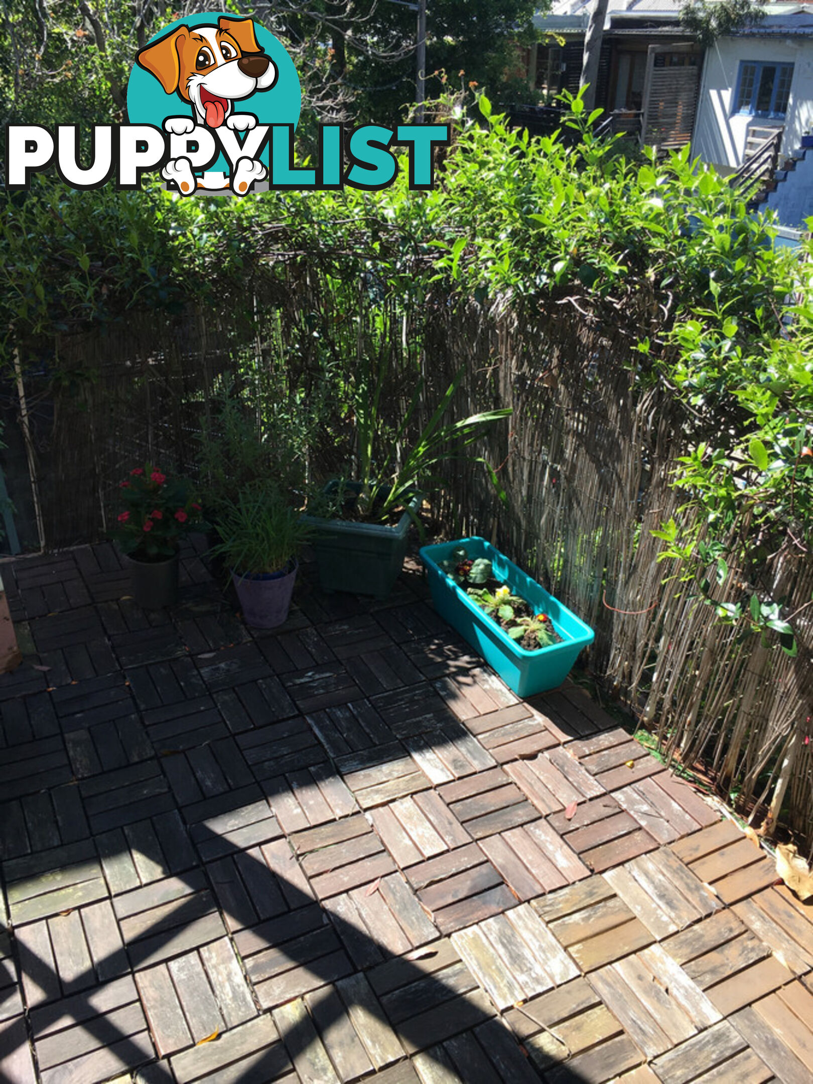 3 86 Womerah Avenue Darlinghurst NSW 2010