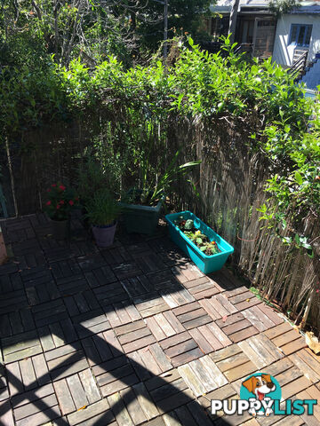 3 86 Womerah Avenue Darlinghurst NSW 2010
