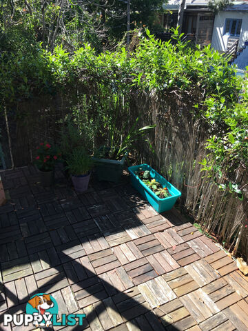 3 86 Womerah Avenue Darlinghurst NSW 2010