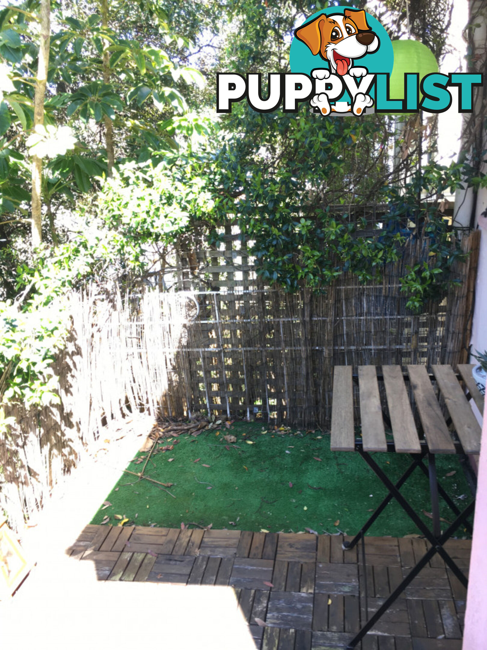 3 86 Womerah Avenue Darlinghurst NSW 2010