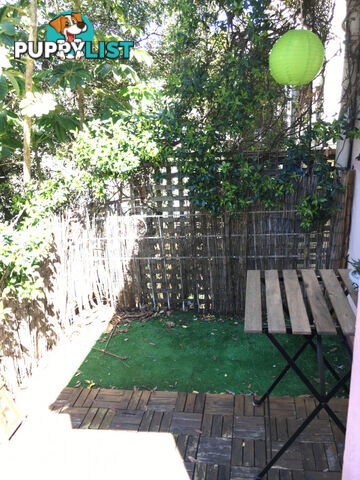 3 86 Womerah Avenue Darlinghurst NSW 2010