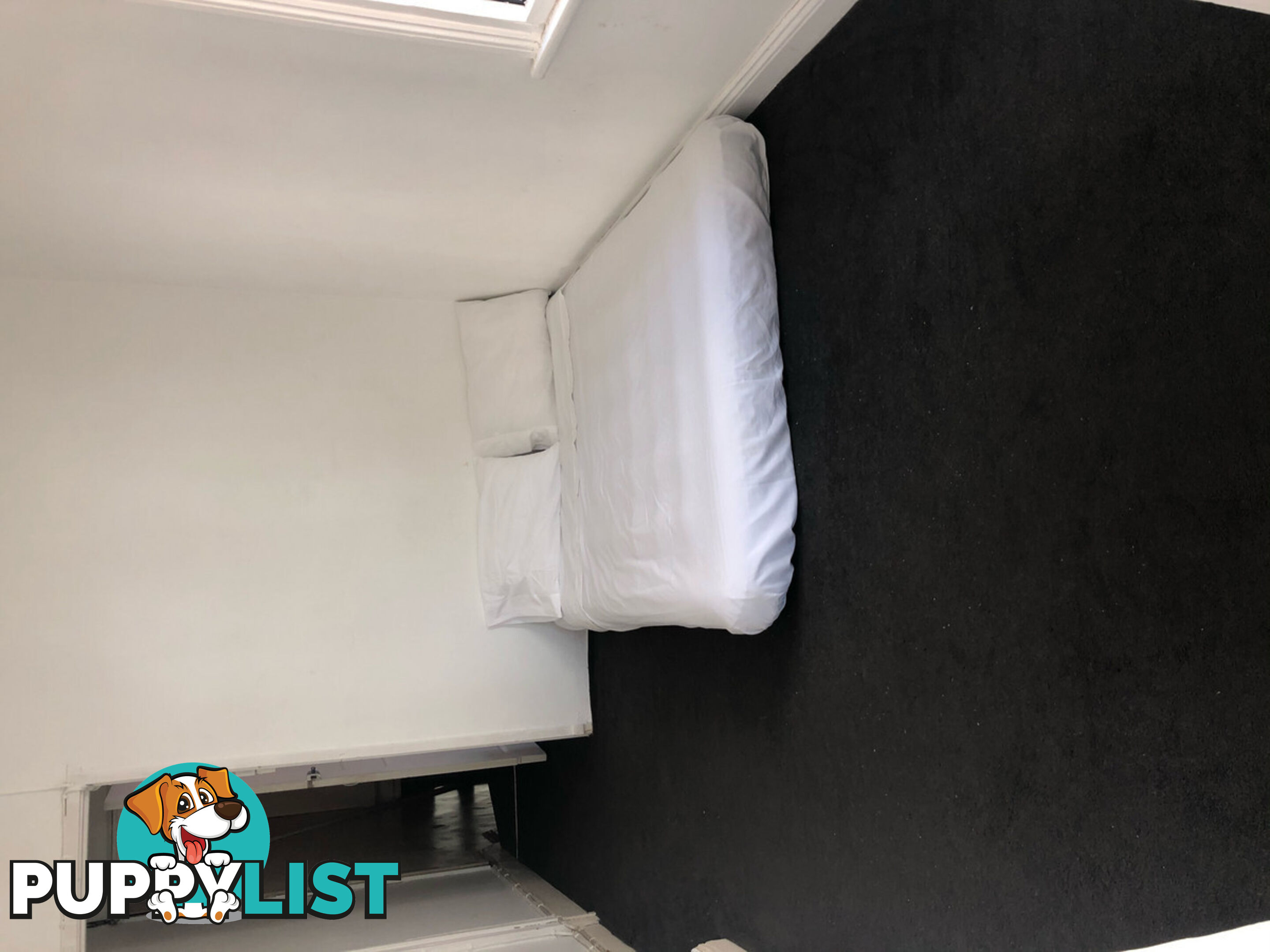 3 86 Womerah Avenue Darlinghurst NSW 2010