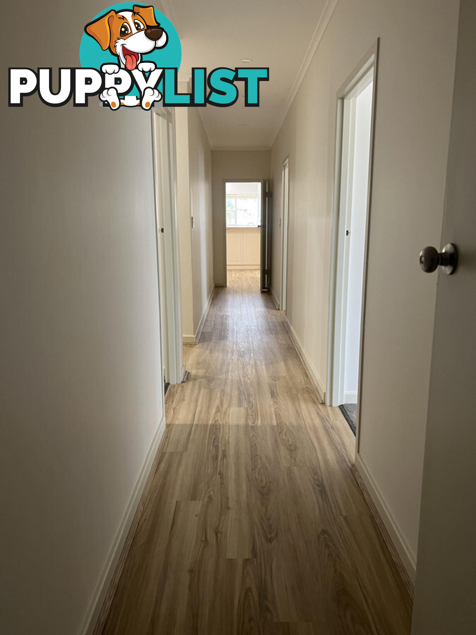50 Roach Road Stanley Flat SA 5453