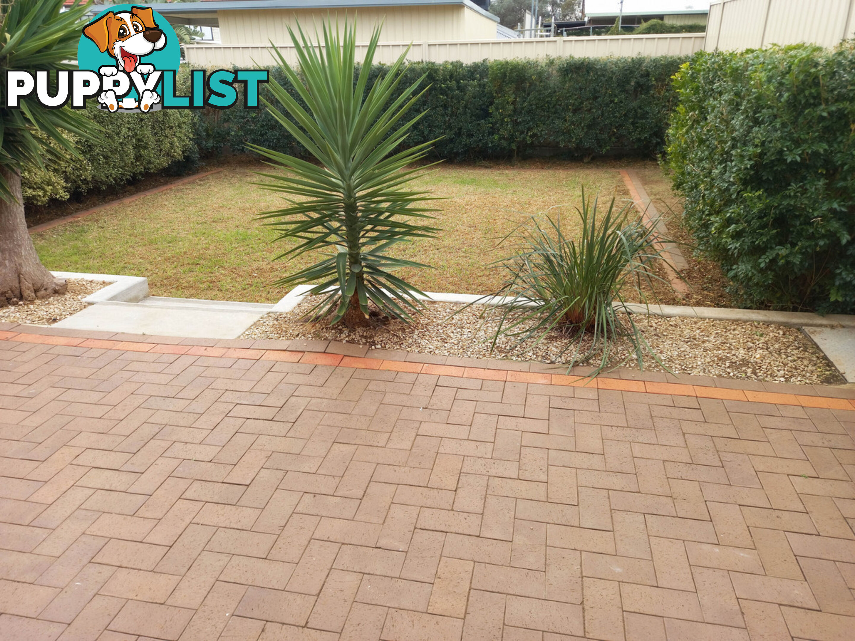 16A Fairview Terrace Clearview SA 5085