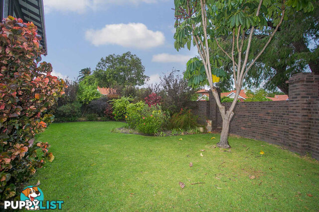 3 8-10 Regent Street West Mount Lawley WA 6050