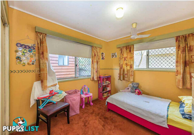 A 13 Furlong Street Indooroopilly QLD 4068