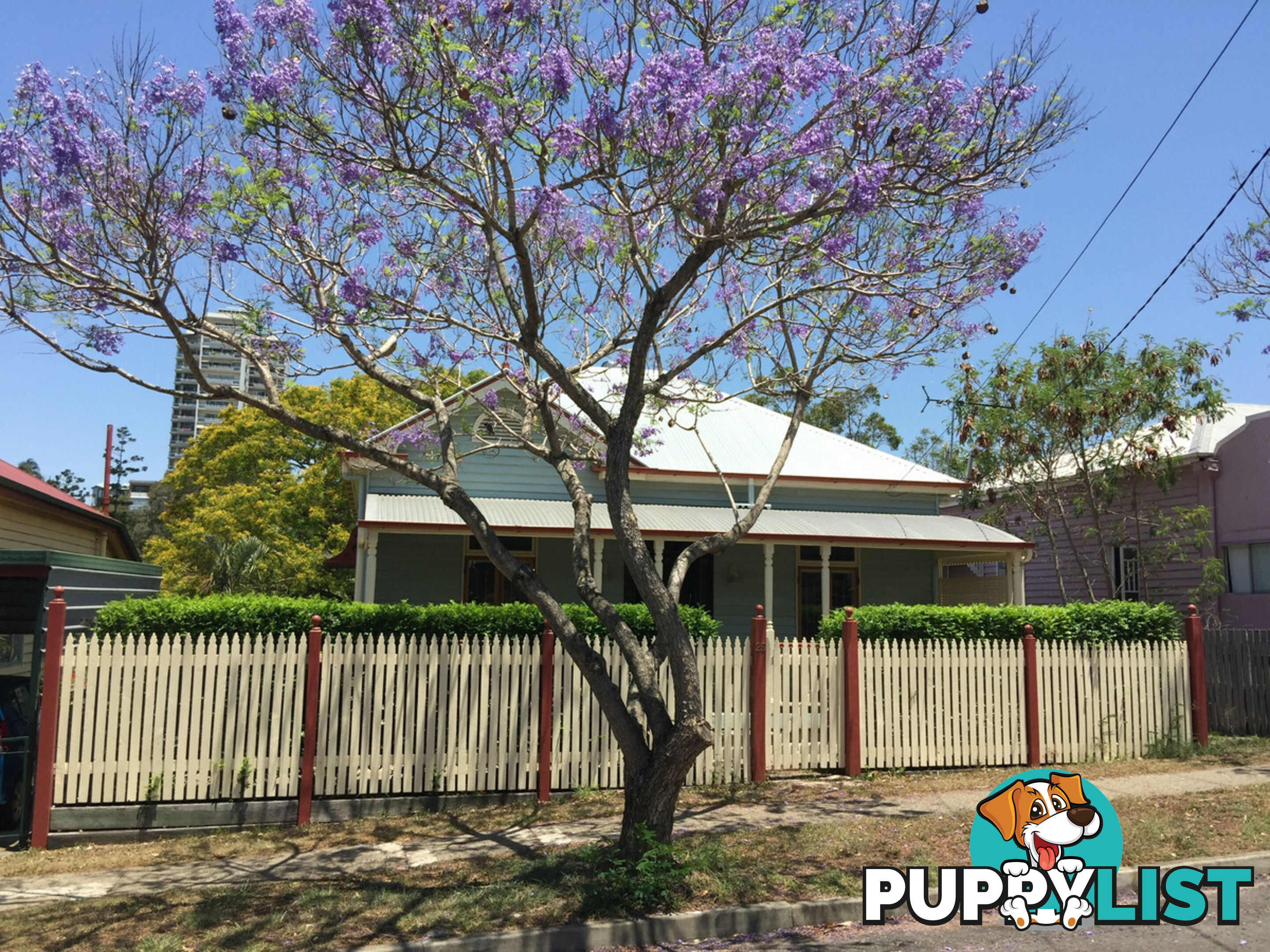 25 Blakeney Street Highgate Hill QLD 4101