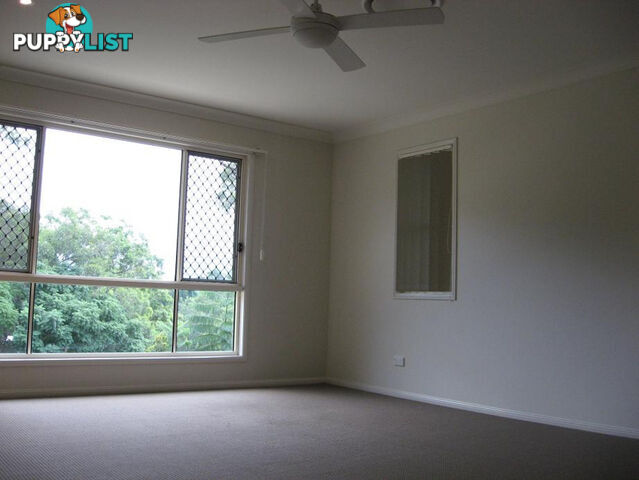 19 Usher Street Indooroopilly QLD 4068