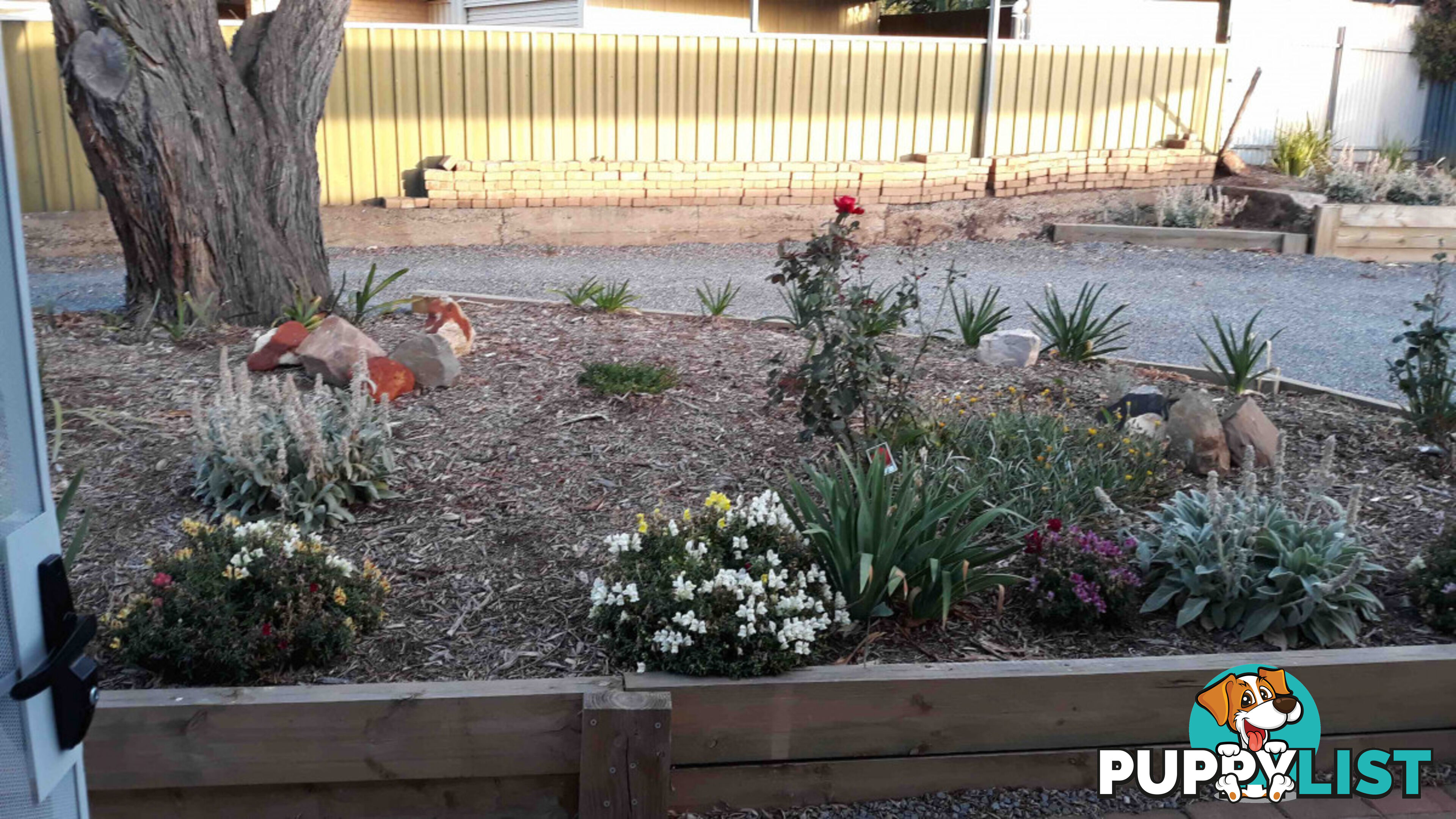 2 4 Palomino Place Morphett Vale SA 5162