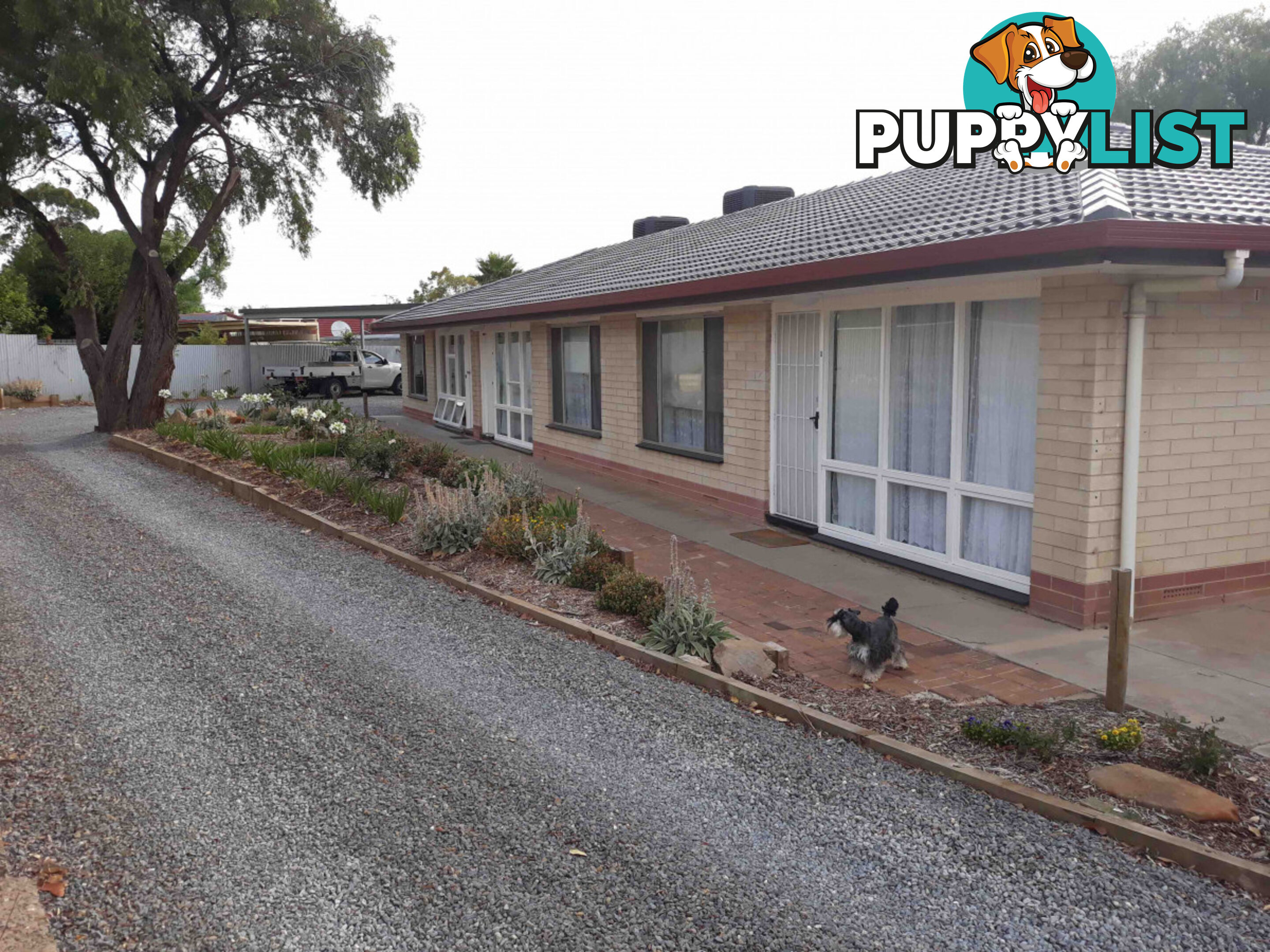2 4 Palomino Place Morphett Vale SA 5162
