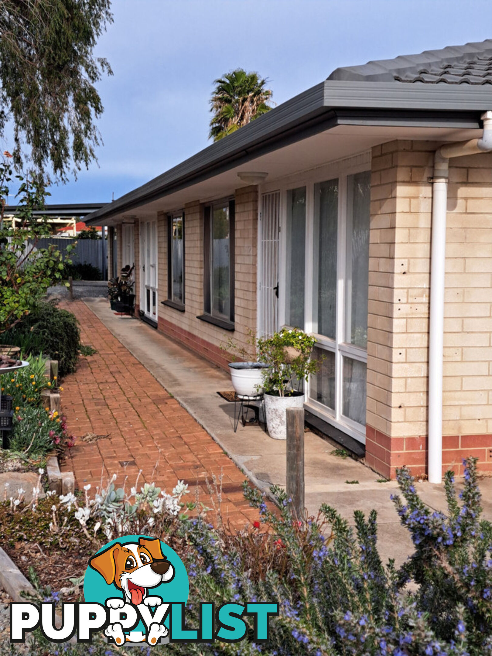 2 4 Palomino Place Morphett Vale SA 5162