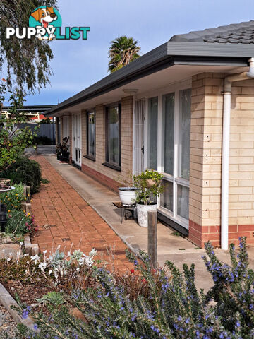 2 4 Palomino Place Morphett Vale SA 5162