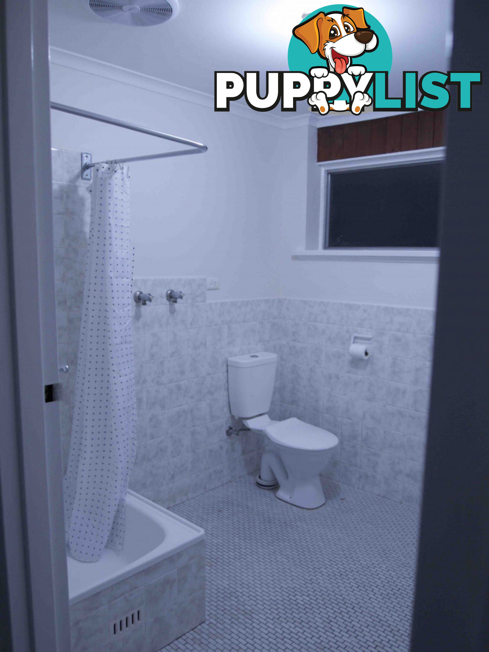2 4 Palomino Place Morphett Vale SA 5162