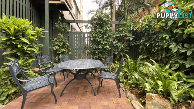 6 45 Phillips Street Spring Hill QLD 4000