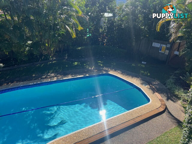 10 219 Weyba Road Noosaville QLD 4566