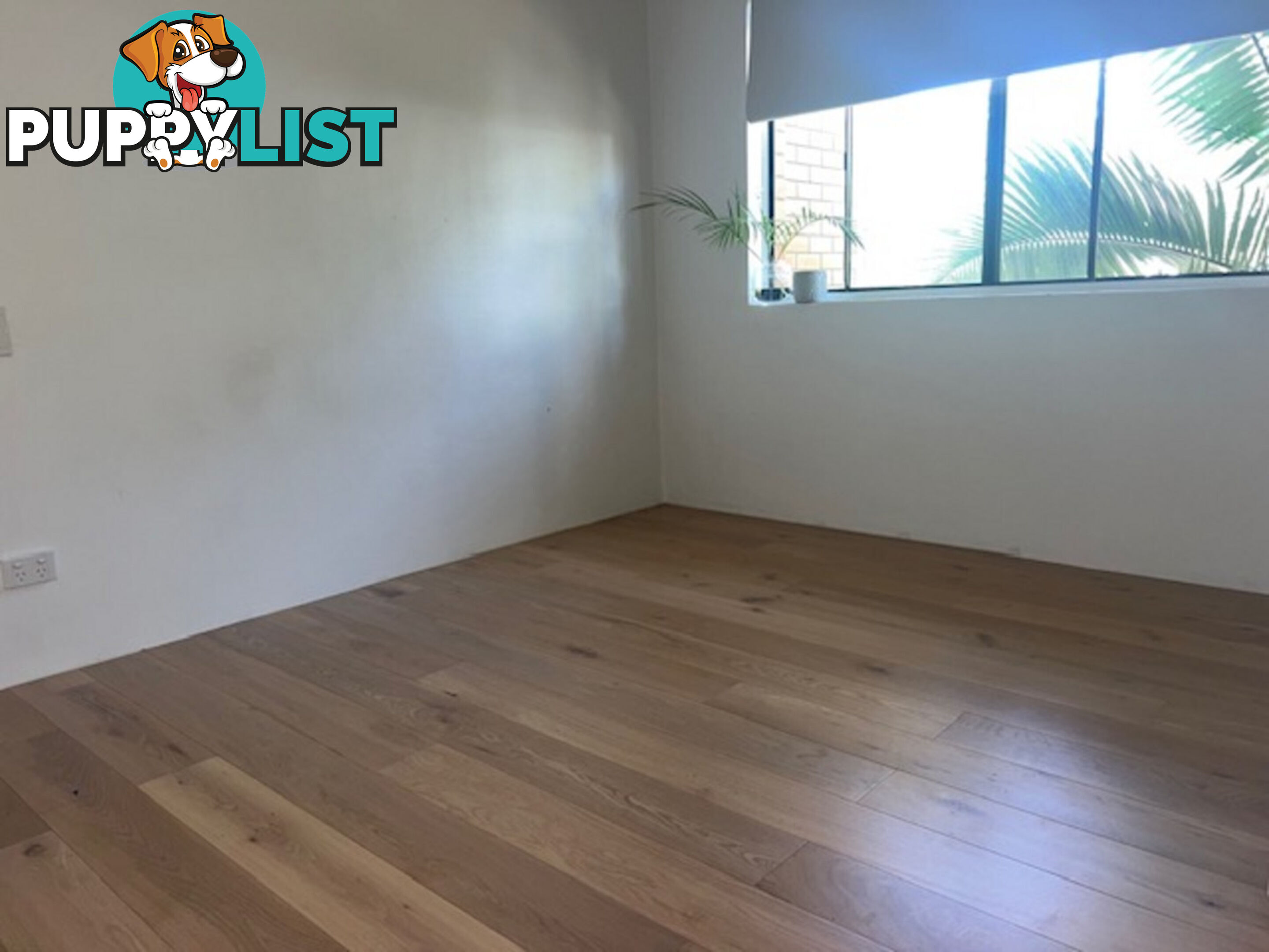 10 219 Weyba Road Noosaville QLD 4566