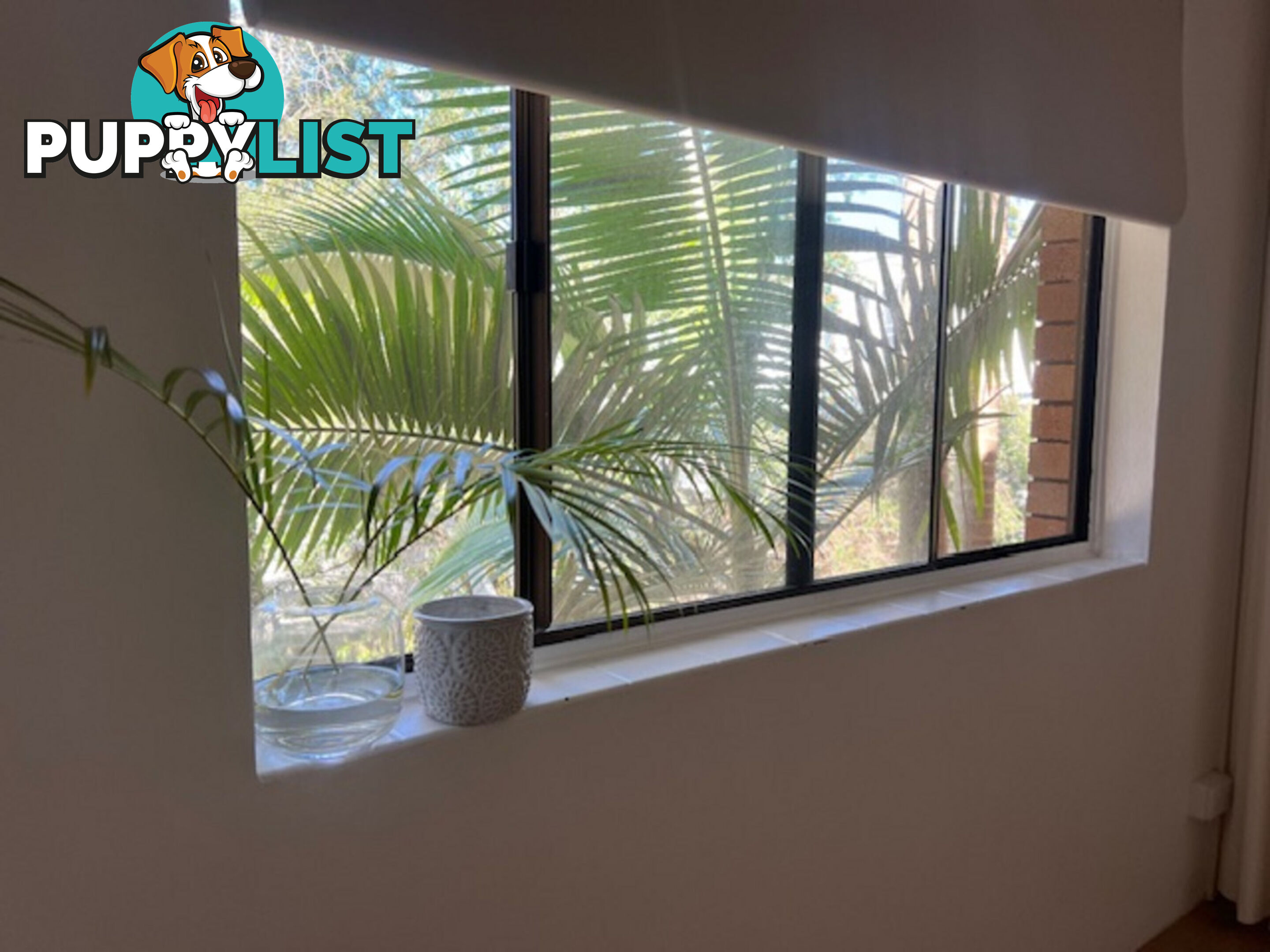 10 219 Weyba Road Noosaville QLD 4566