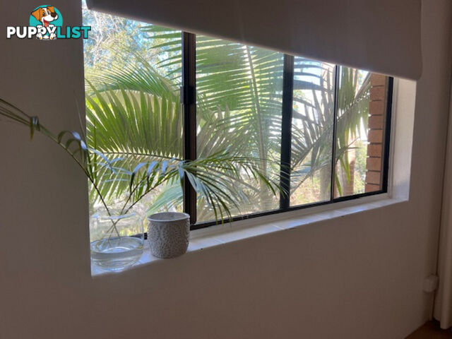 10 219 Weyba Road Noosaville QLD 4566