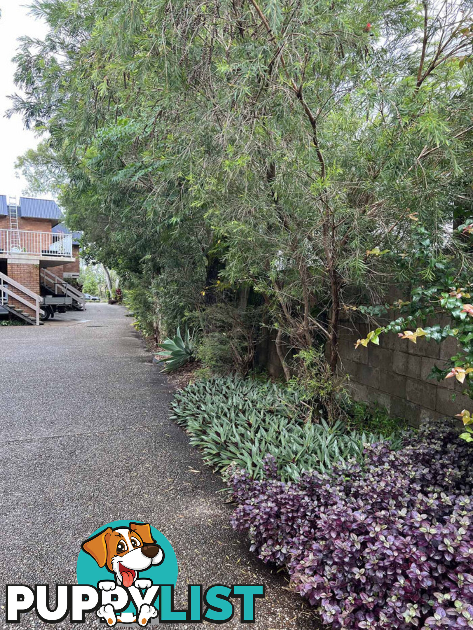 10 219 Weyba Road Noosaville QLD 4566
