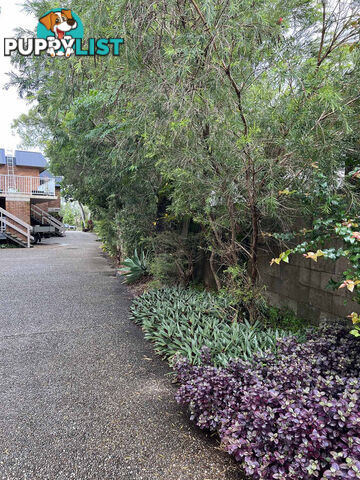 10 219 Weyba Road Noosaville QLD 4566