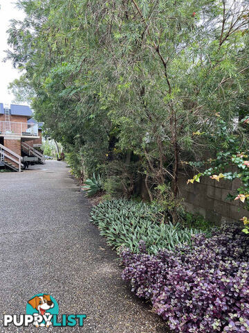 10 219 Weyba Road Noosaville QLD 4566