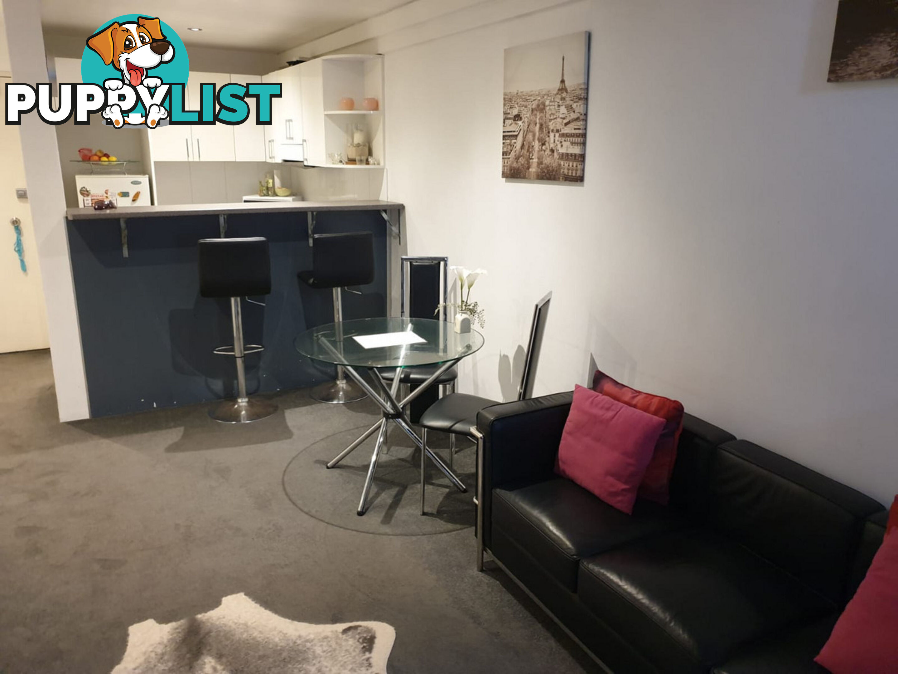 26 13-15 Oxford Street Paddington NSW 2021