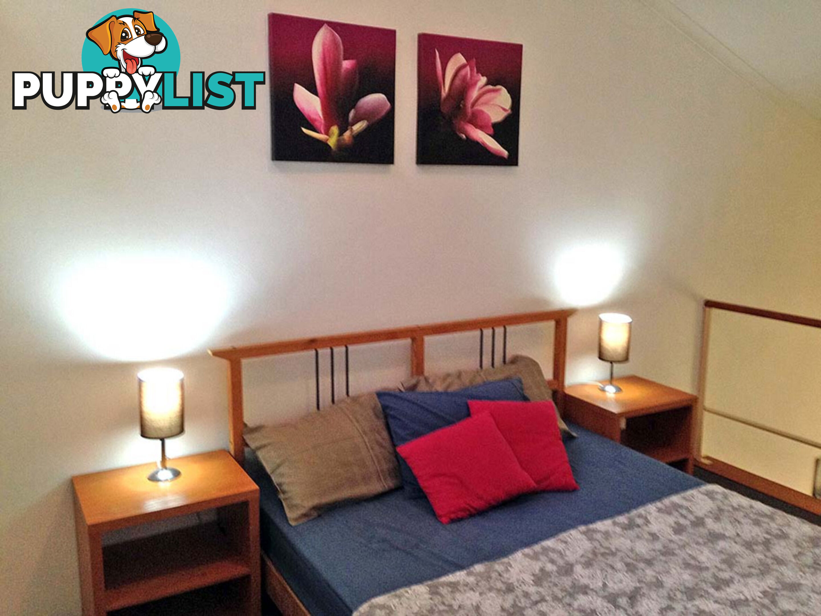 26 13-15 Oxford Street Paddington NSW 2021