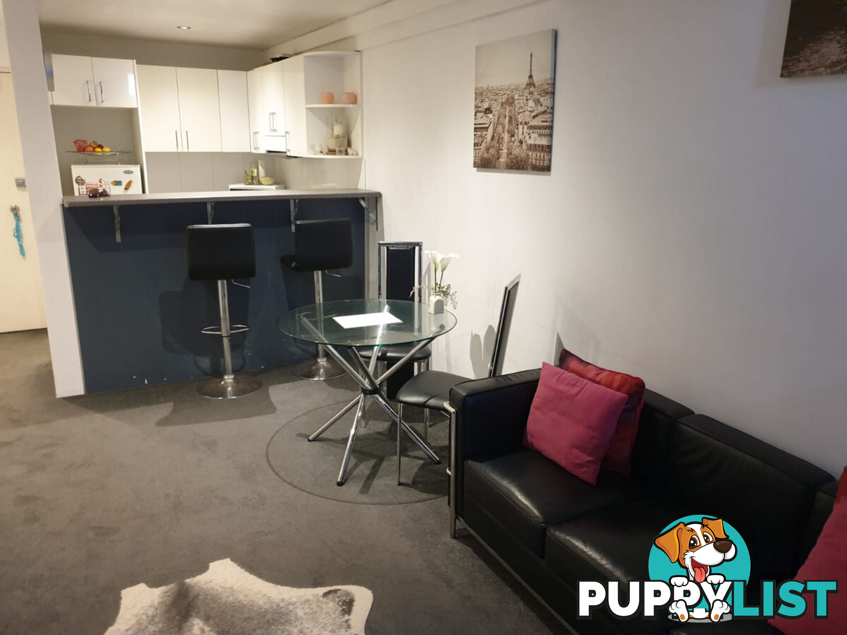 26 13-15 Oxford Street Paddington NSW 2021