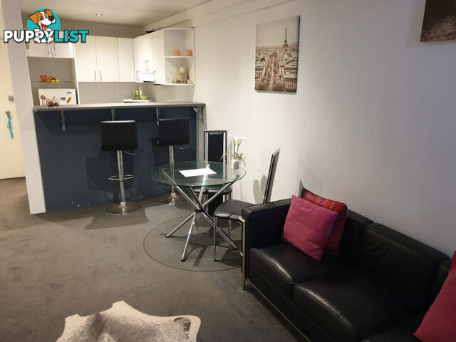 26 13-15 Oxford Street Paddington NSW 2021