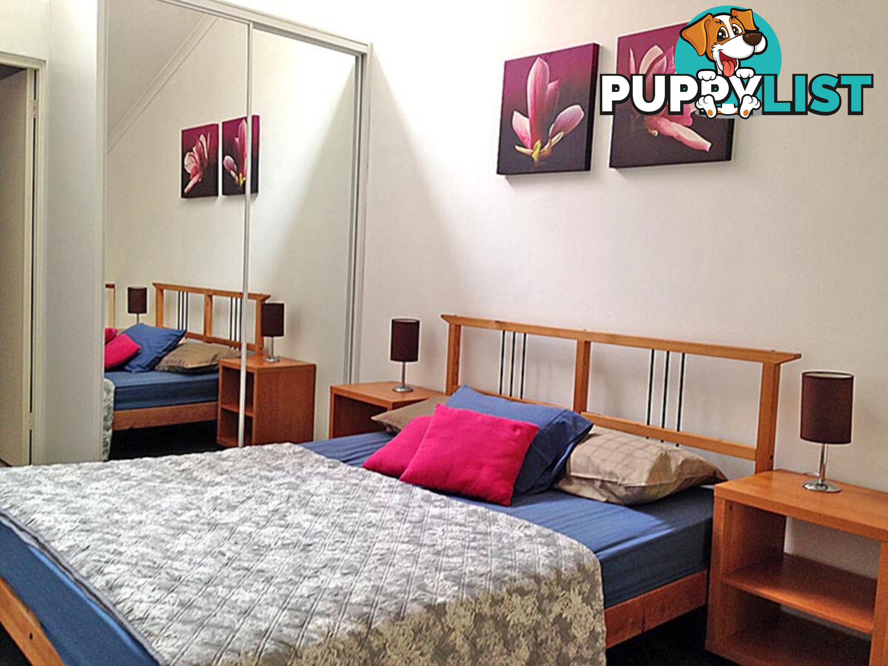 26 13-15 Oxford Street Paddington NSW 2021