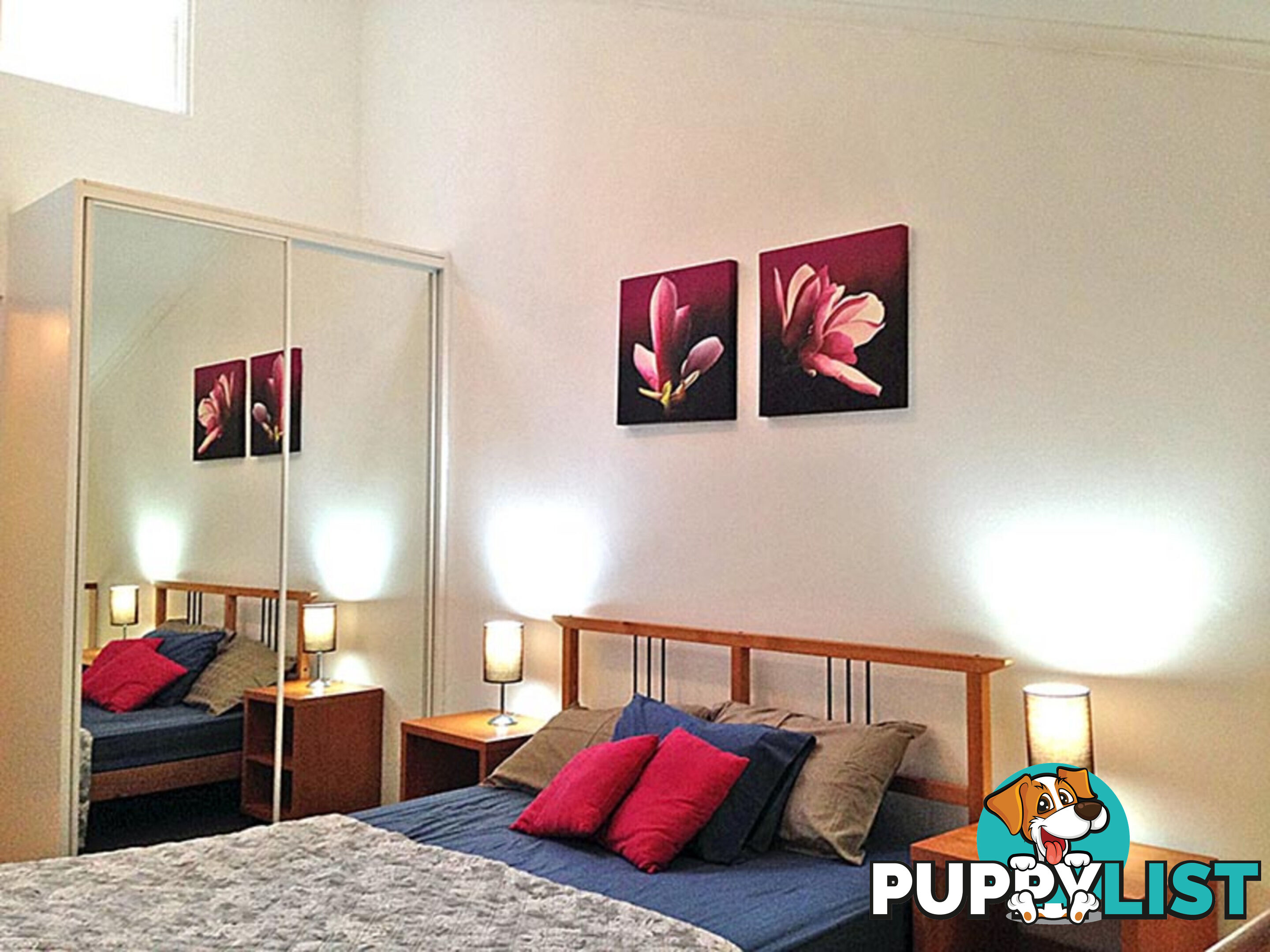 26 13-15 Oxford Street Paddington NSW 2021