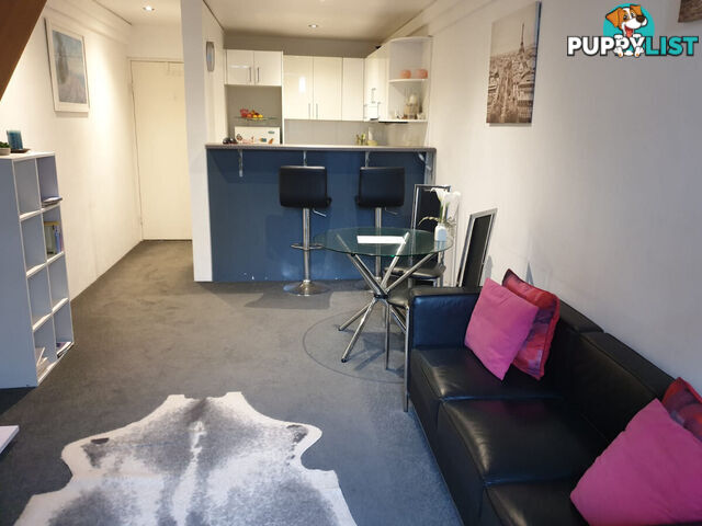 26 13-15 Oxford Street Paddington NSW 2021