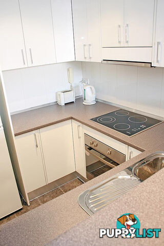26 13-15 Oxford Street Paddington NSW 2021