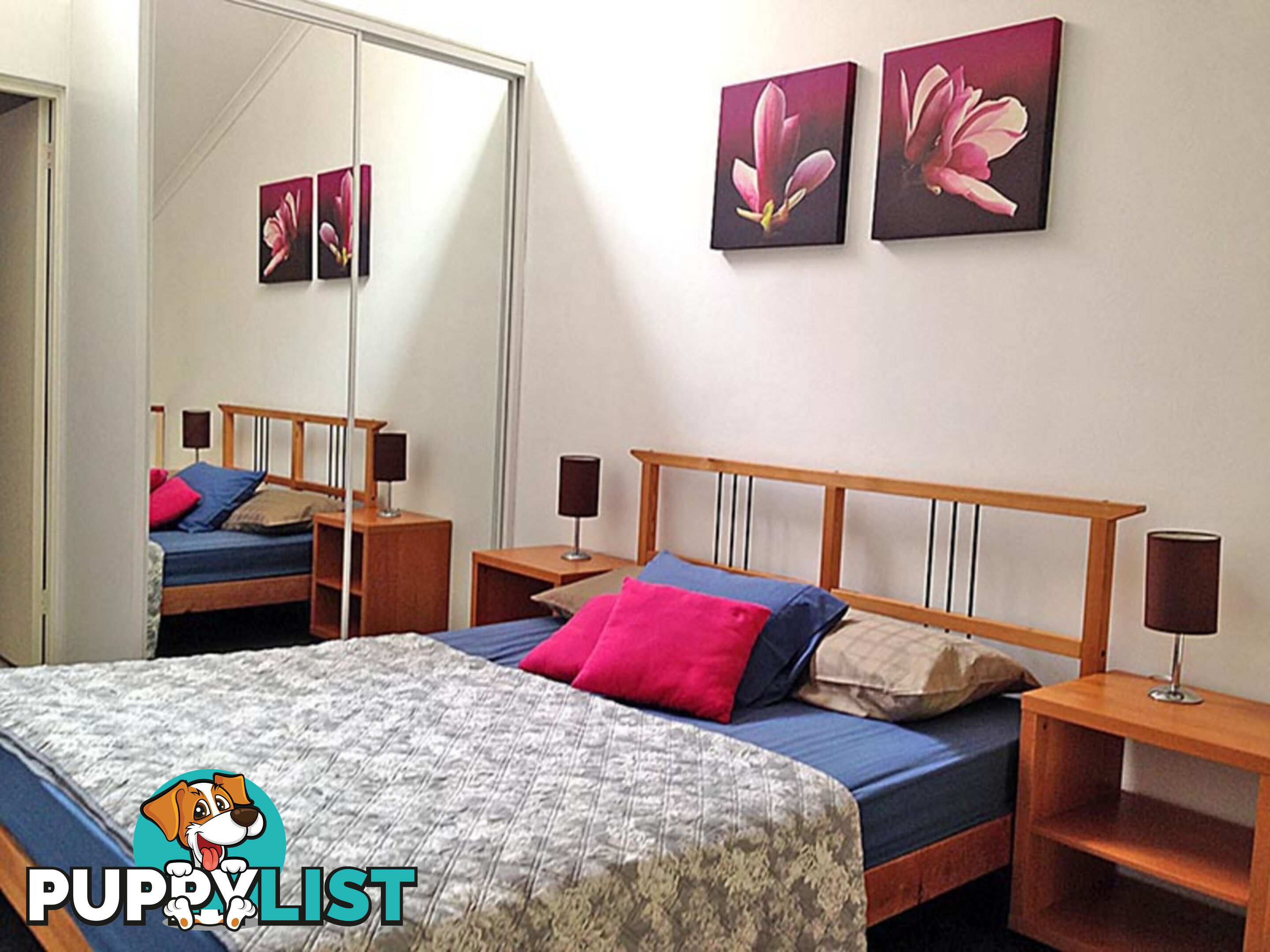 26 13-15 Oxford Street Paddington NSW 2021