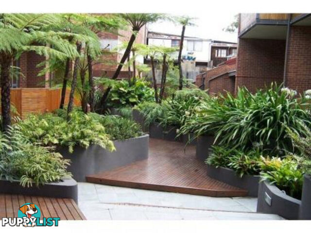 26 13-15 Oxford Street Paddington NSW 2021
