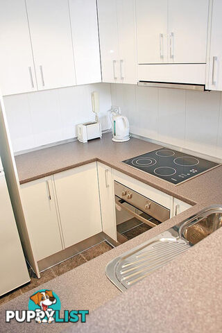 26 13-15 Oxford Street Paddington NSW 2021