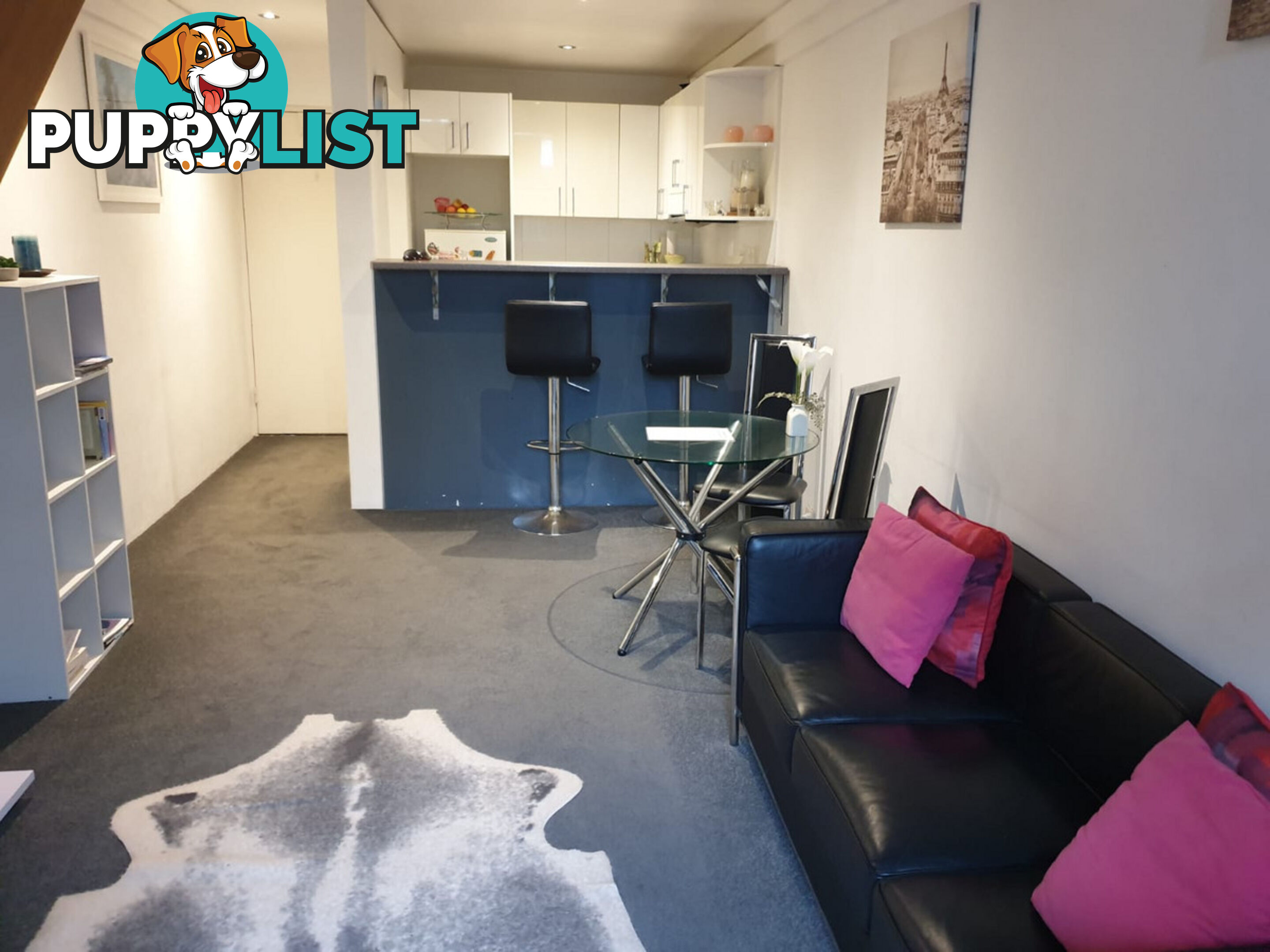 26 13-15 Oxford Street Paddington NSW 2021