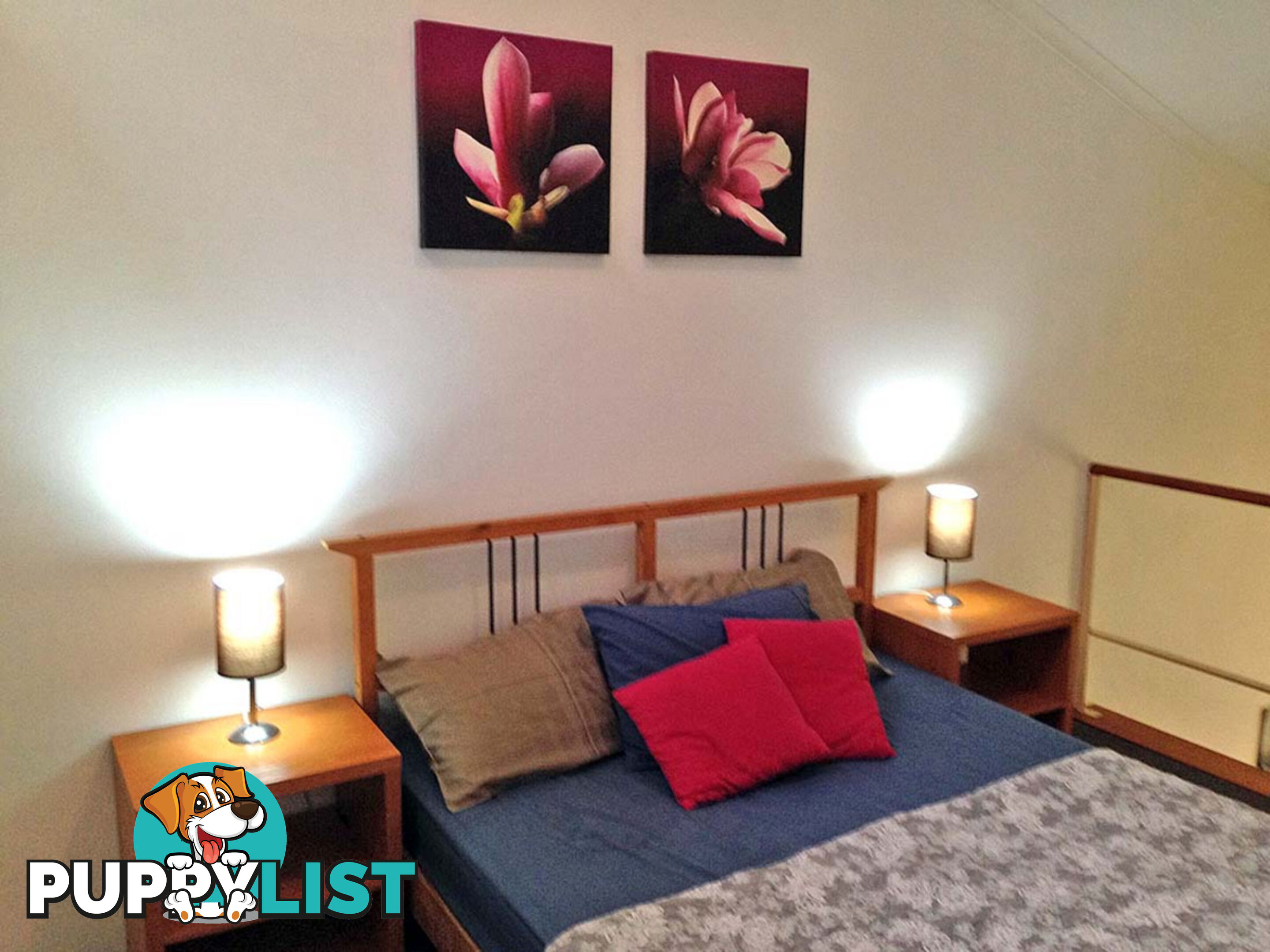 26 13-15 Oxford Street Paddington NSW 2021