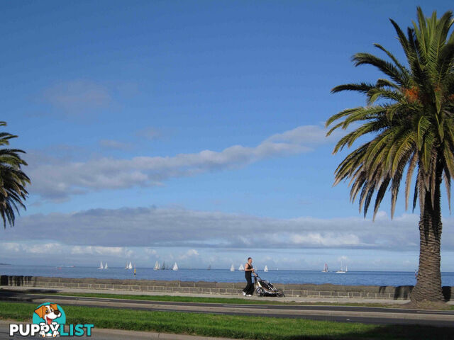 Middle Park VIC 3206
