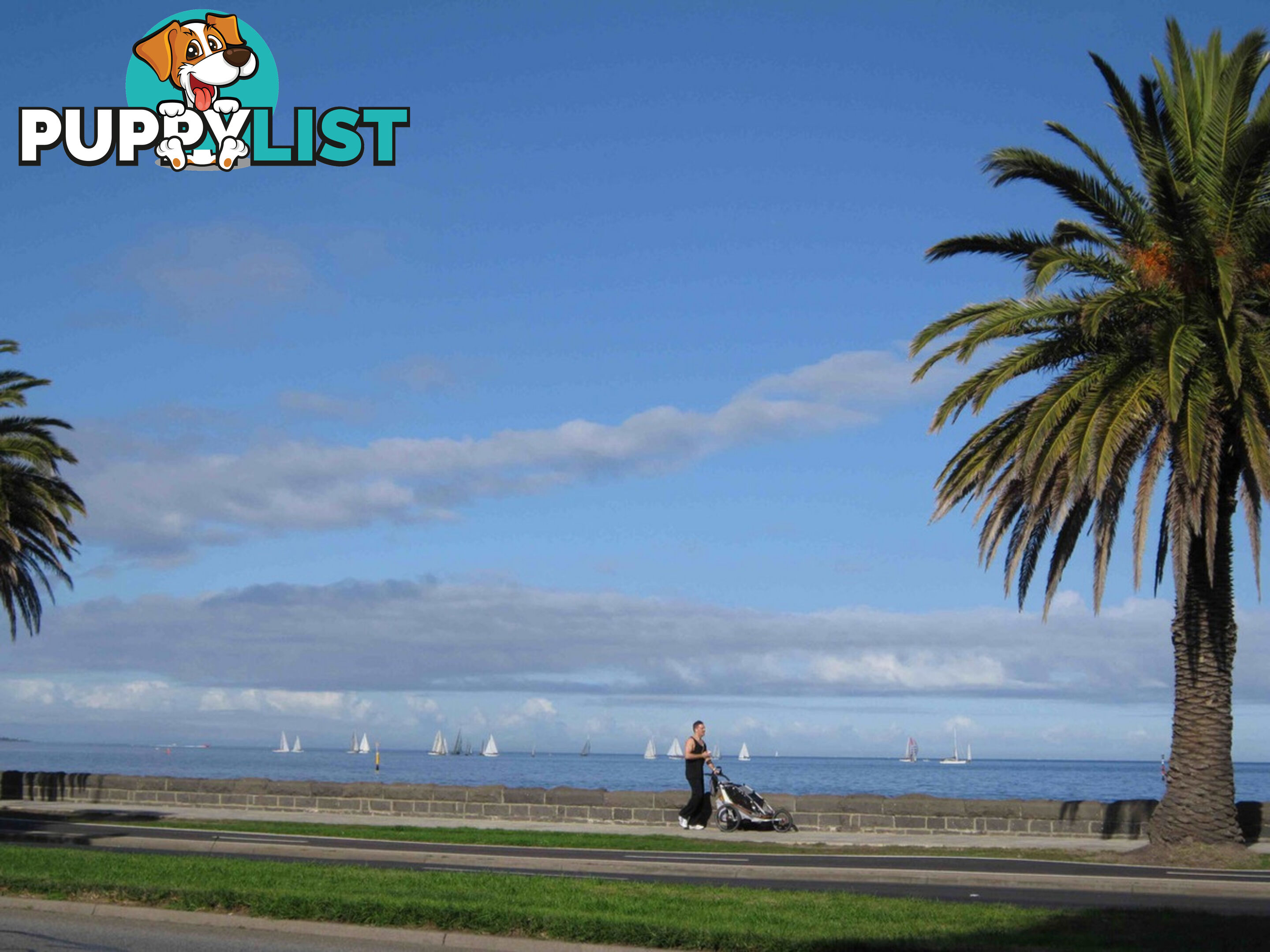 Middle Park VIC 3206