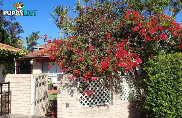 21A Yarra Road Phillip Bay NSW 2036