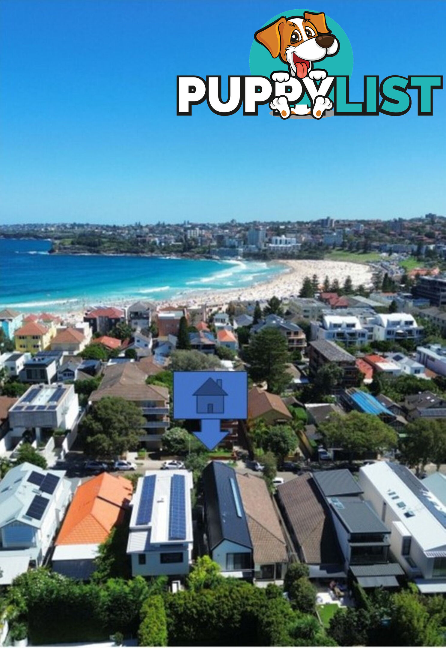 102 Hastings Parade North Bondi NSW 2026