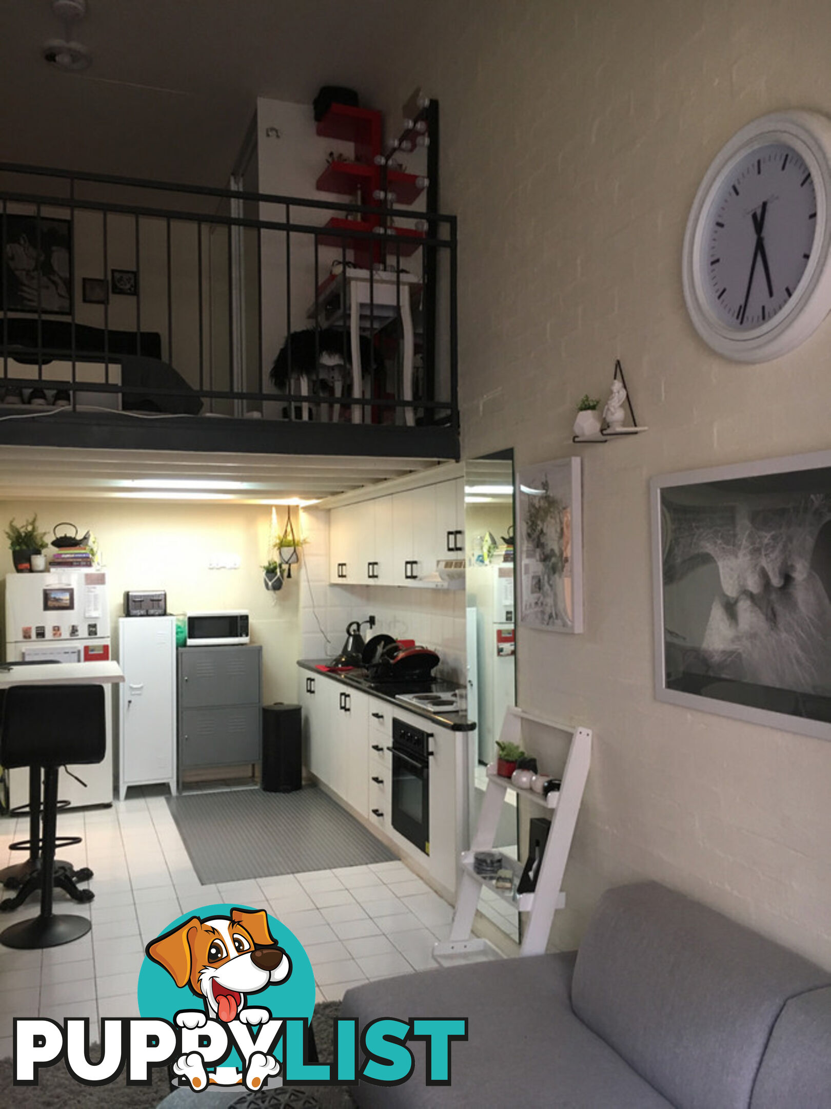97 Leinster Street Paddington NSW 2021