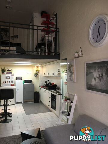 97 Leinster Street Paddington NSW 2021