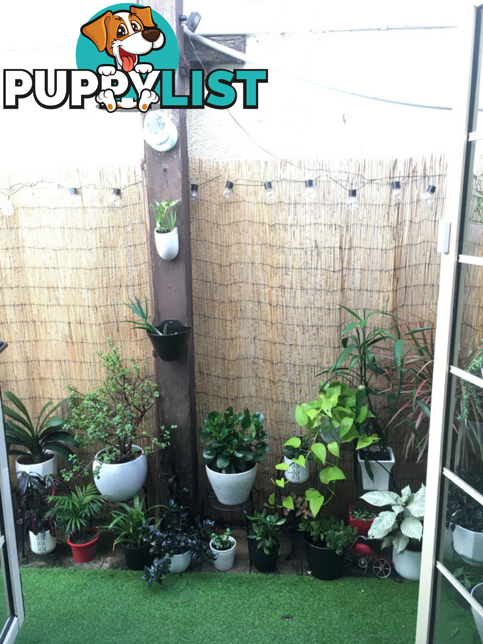 97 Leinster Street Paddington NSW 2021