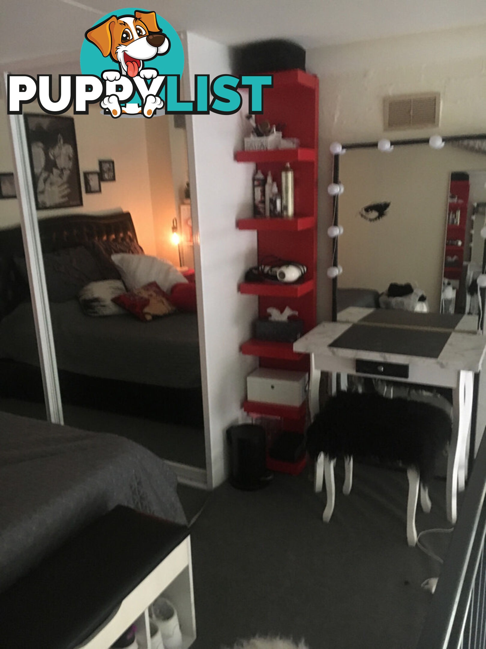 97 Leinster Street Paddington NSW 2021