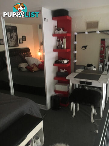 97 Leinster Street Paddington NSW 2021