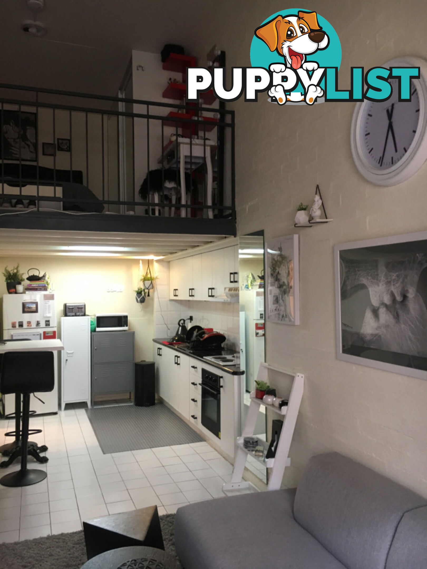 97 Leinster Street Paddington NSW 2021