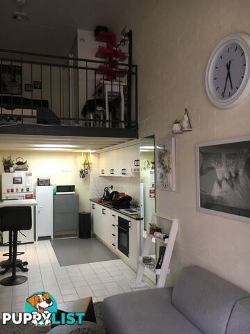 97 Leinster Street Paddington NSW 2021